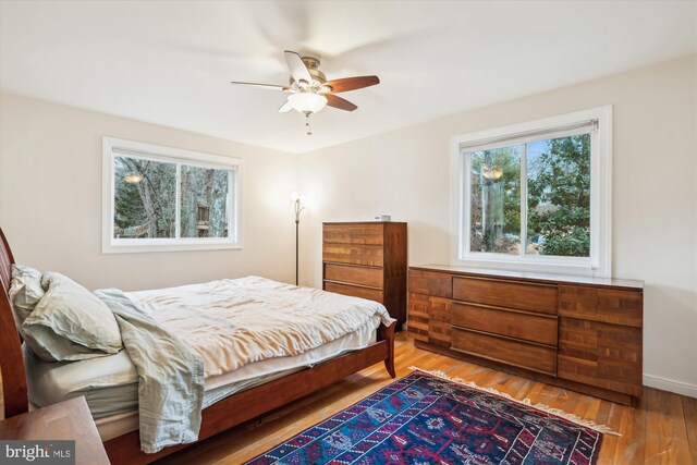 bedroom featuring a ceiling fan and wood finished floors