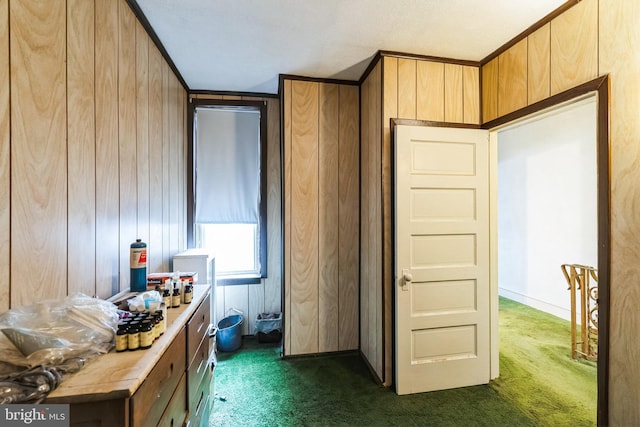 interior space featuring dark carpet and wood walls