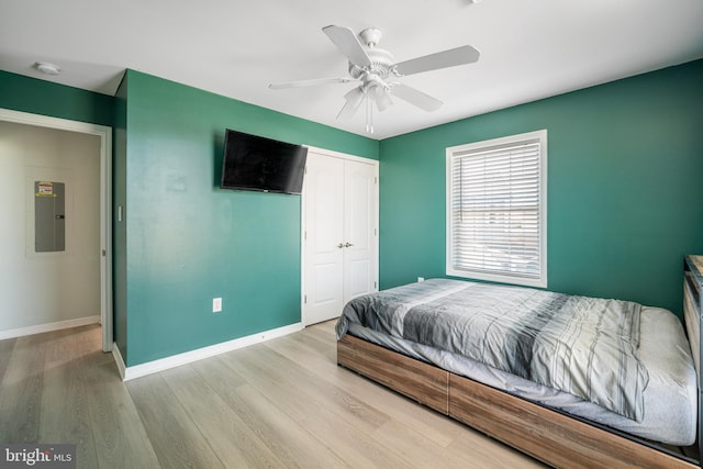 bedroom with electric panel, a closet, ceiling fan, and light wood-type flooring