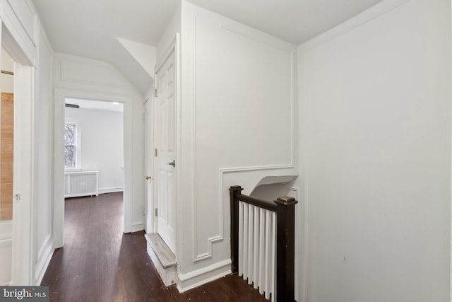 hallway with radiator and dark hardwood / wood-style floors