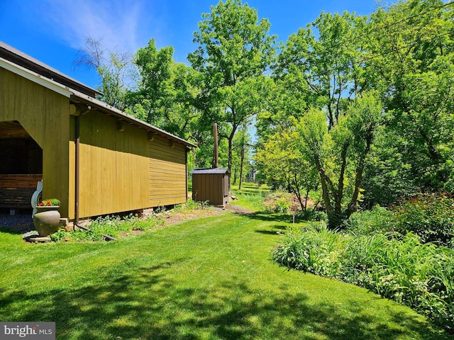 view of yard featuring an outdoor structure