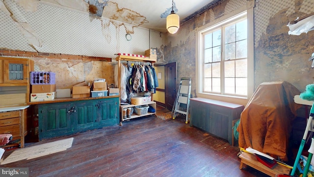 mudroom with dark wood-type flooring and a workshop area