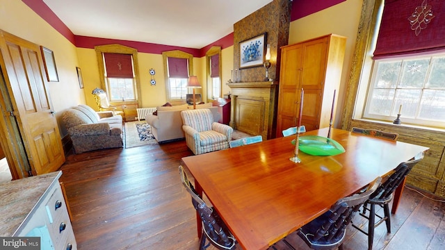 dining area with dark hardwood / wood-style floors and radiator heating unit