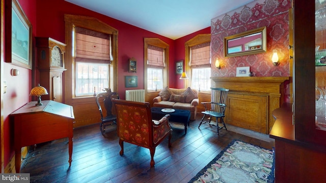 sitting room featuring radiator heating unit, dark hardwood / wood-style flooring, and vaulted ceiling