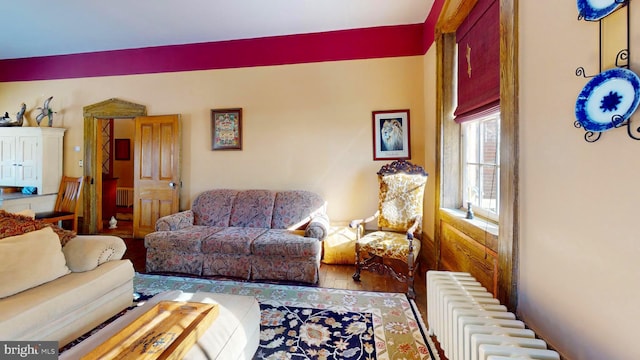 living room featuring radiator heating unit and wood-type flooring