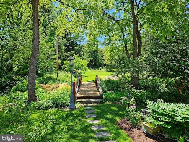 view of home's community featuring a lawn