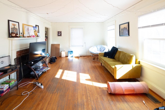 living room featuring wood-type flooring