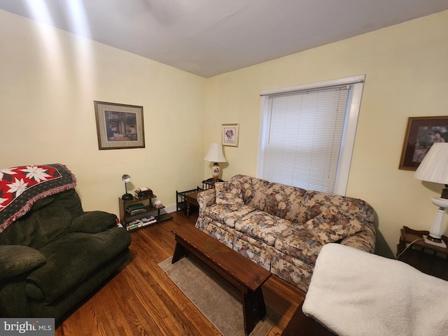 living room with dark hardwood / wood-style floors