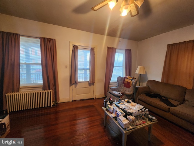 living room with ceiling fan, radiator, and dark hardwood / wood-style floors