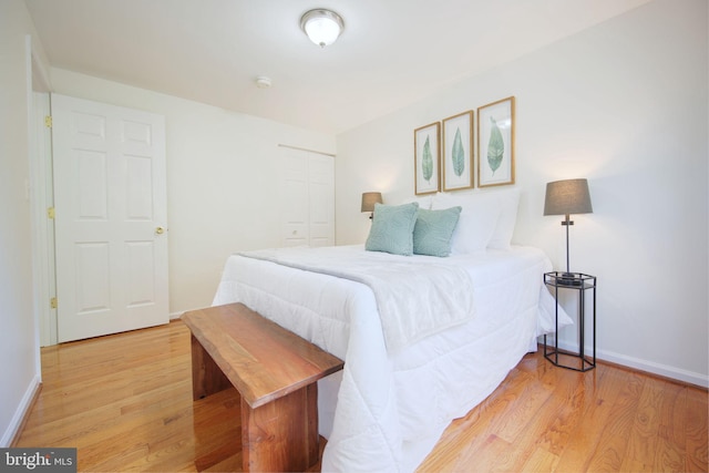 6406 Holyoke Dr, Annandale, VA 22003 - bedroom with light wood-type flooring, baseboards, and a closet