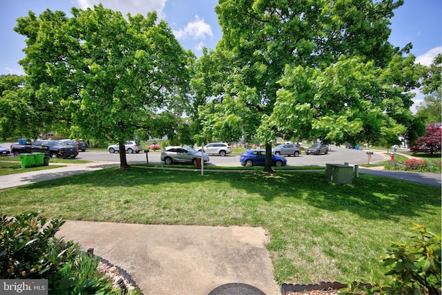 6406 Holyoke Dr, Annandale, VA 22003 - view of yard