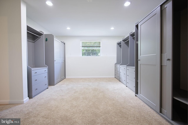 6406 Holyoke Dr, Annandale, VA 22003 - walk in closet with light carpet