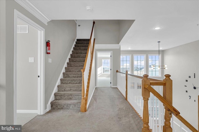 staircase with carpet flooring