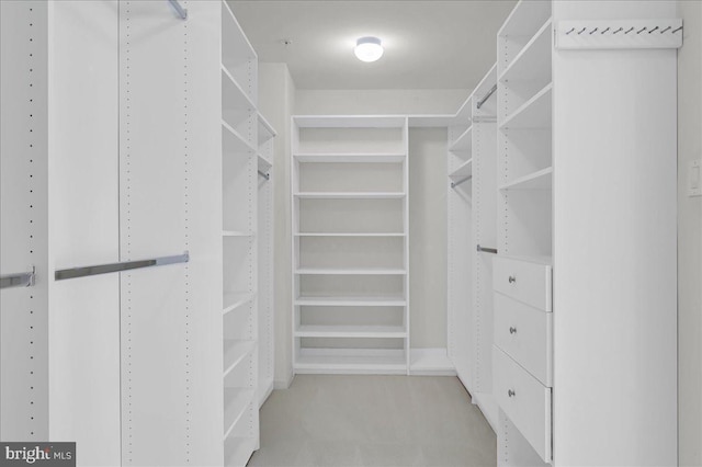 view of spacious closet