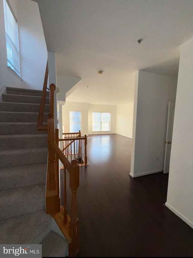 stairway with hardwood / wood-style flooring