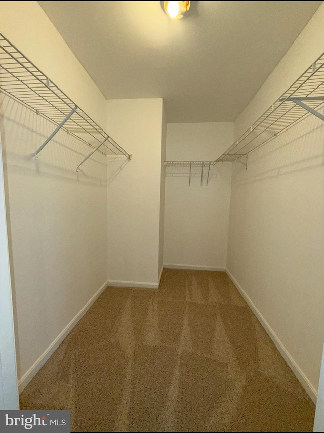 walk in closet featuring carpet