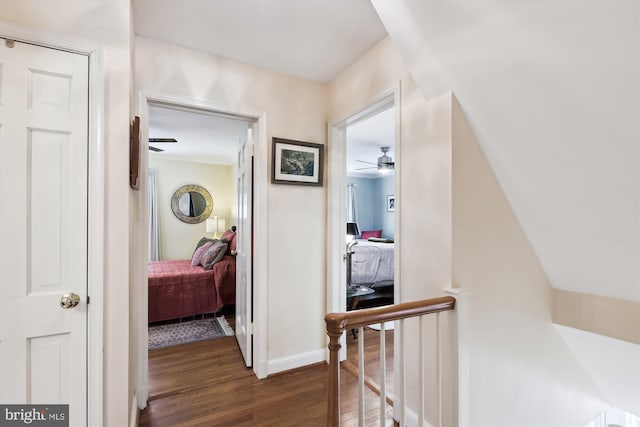 hallway featuring dark wood-type flooring