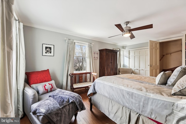 bedroom with crown molding, ceiling fan, dark hardwood / wood-style flooring, and a closet