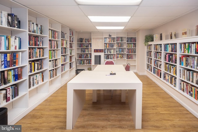 interior space with a drop ceiling and light hardwood / wood-style flooring