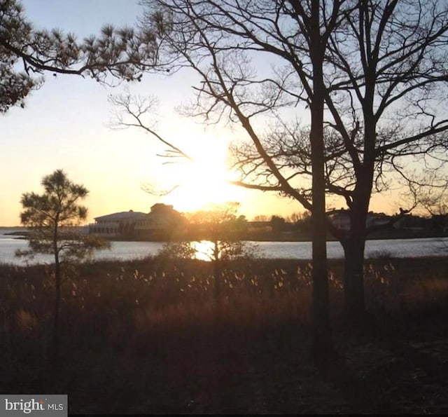 nature at dusk with a water view