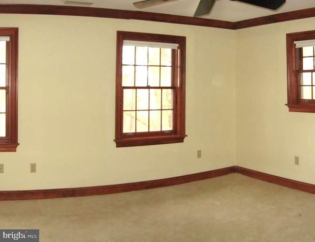 empty room with ceiling fan, ornamental molding, and carpet flooring