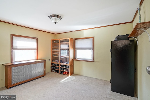 miscellaneous room with crown molding, radiator, and light colored carpet