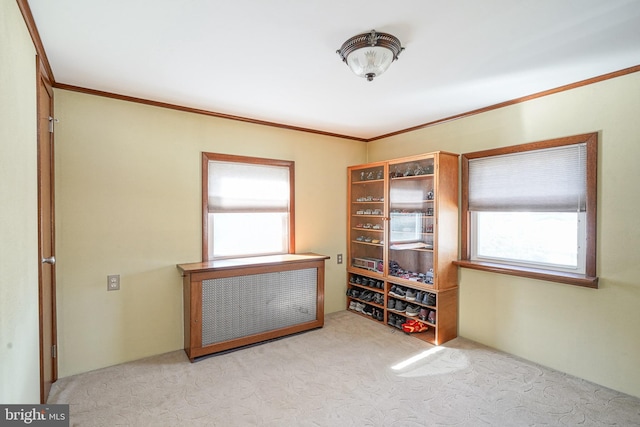 interior space featuring crown molding