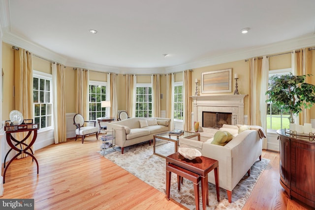 living area with crown molding, plenty of natural light, light wood finished floors, and a premium fireplace