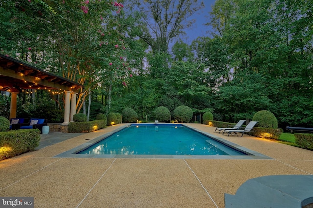 view of pool with a diving board and a patio