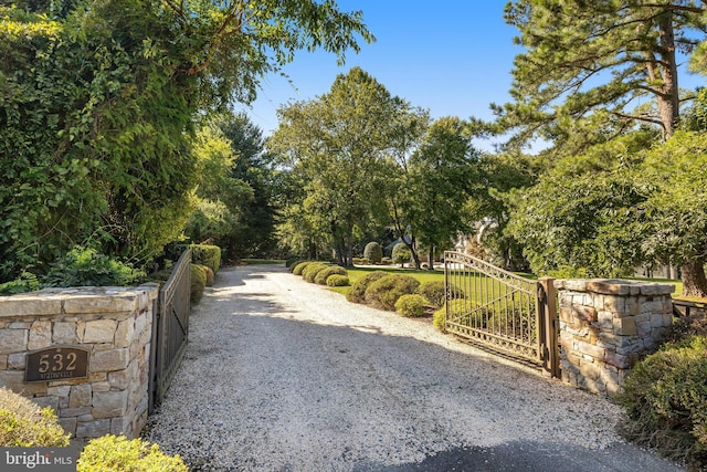 view of street with driveway, a gated entry, and a gate