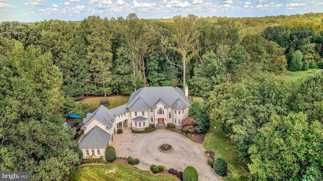 bird's eye view with a view of trees