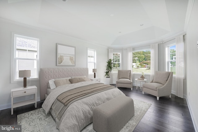 bedroom featuring dark hardwood / wood-style flooring, ornamental molding, and a raised ceiling