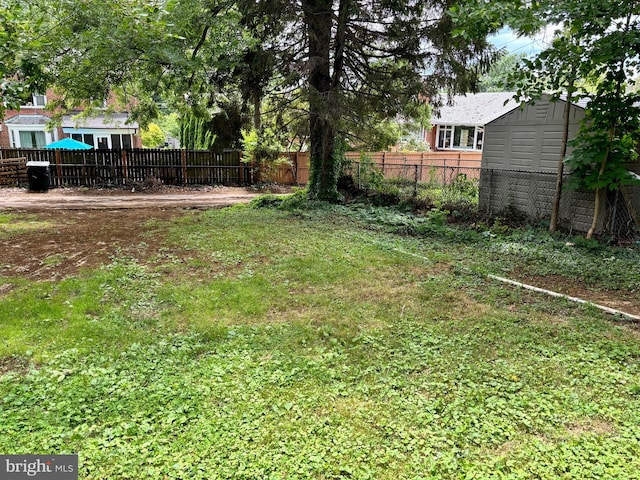 view of yard with a shed