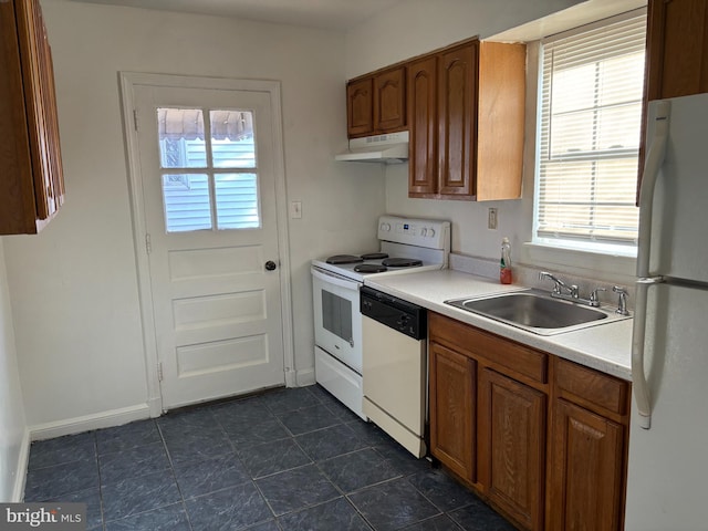 kitchen featuring sink and white appliances