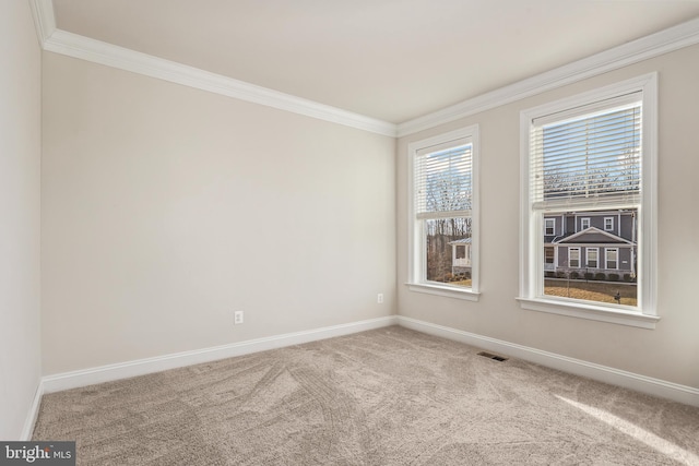 carpeted empty room with crown molding