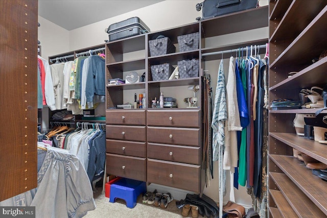 walk in closet with carpet floors