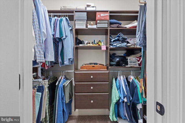 spacious closet featuring carpet