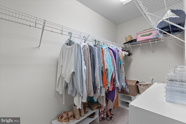 walk in closet with carpet