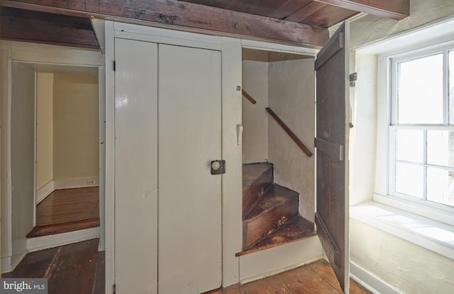 staircase featuring hardwood / wood-style floors and a wealth of natural light