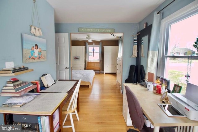 interior space featuring ceiling fan and light wood-type flooring