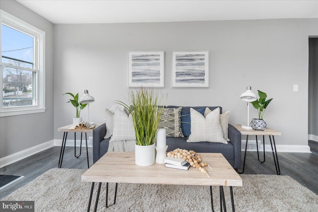 living room with dark hardwood / wood-style flooring