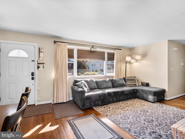 living room with wood-type flooring