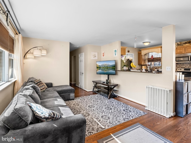 living room with dark hardwood / wood-style flooring