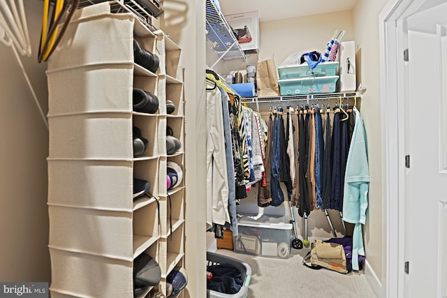 spacious closet with carpet