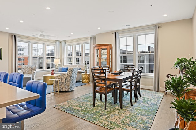 dining area with ceiling fan and light wood-type flooring