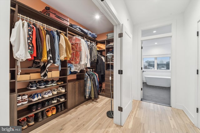 spacious closet with light hardwood / wood-style flooring