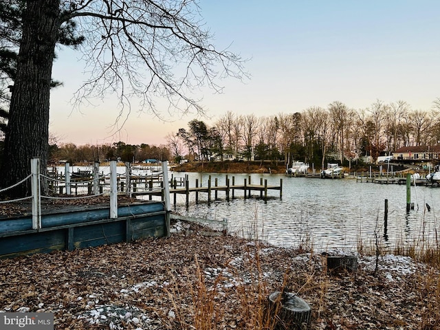 dock area with a water view