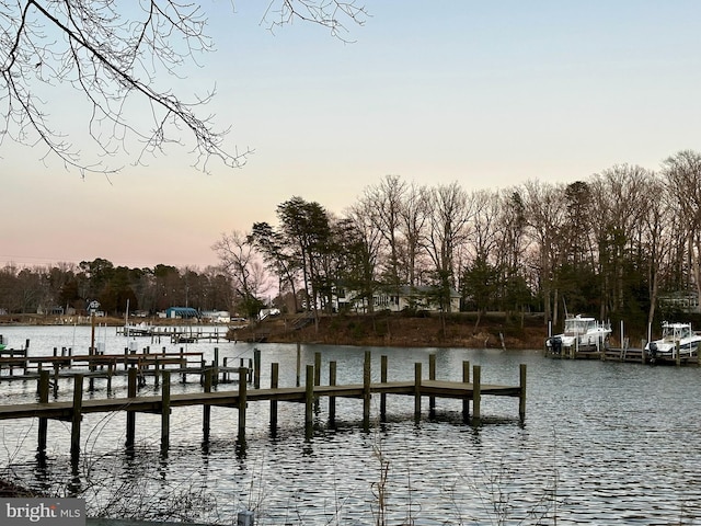 dock area featuring a water view