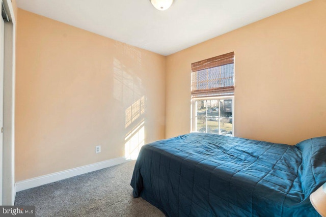 bedroom featuring carpet flooring