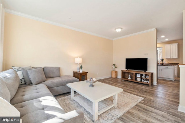 living room with crown molding and light hardwood / wood-style floors